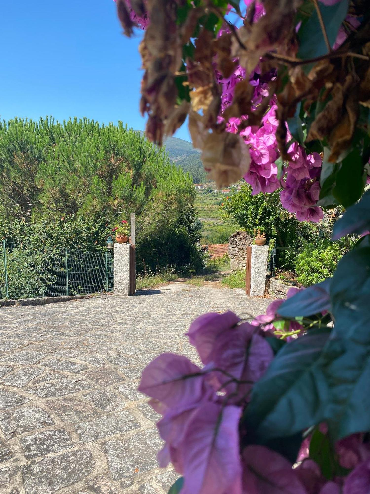 Villa De Fujacos ヴァレンサ エクステリア 写真