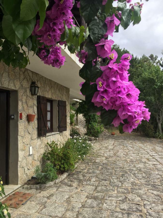 Villa De Fujacos ヴァレンサ エクステリア 写真